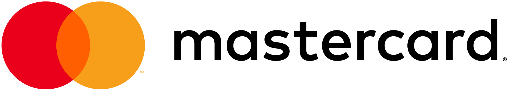 mastercard credit card icon